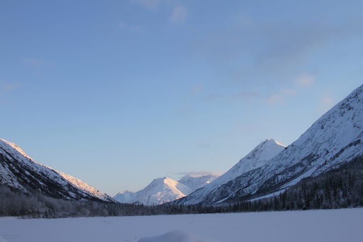 Tern Lake in December 2009