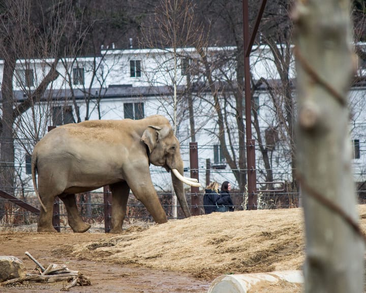 Cincinnati Zoo Visit
